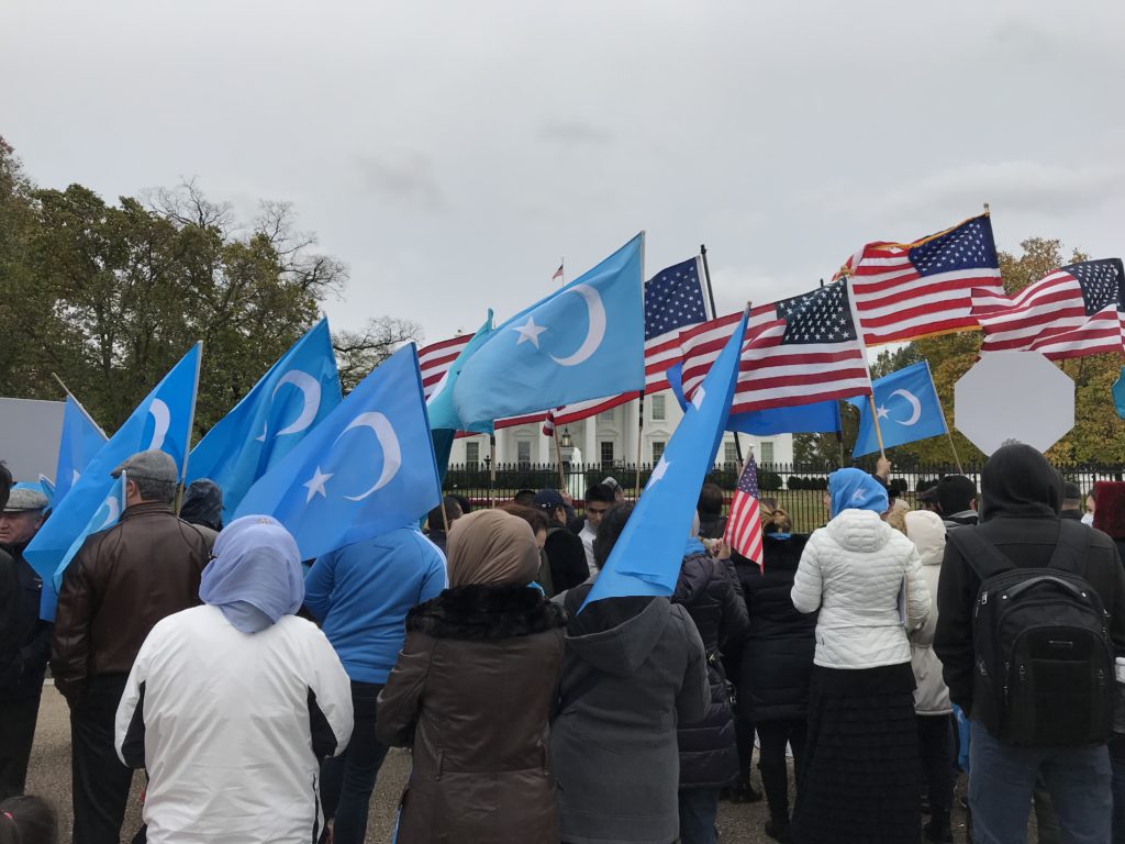 Protestors