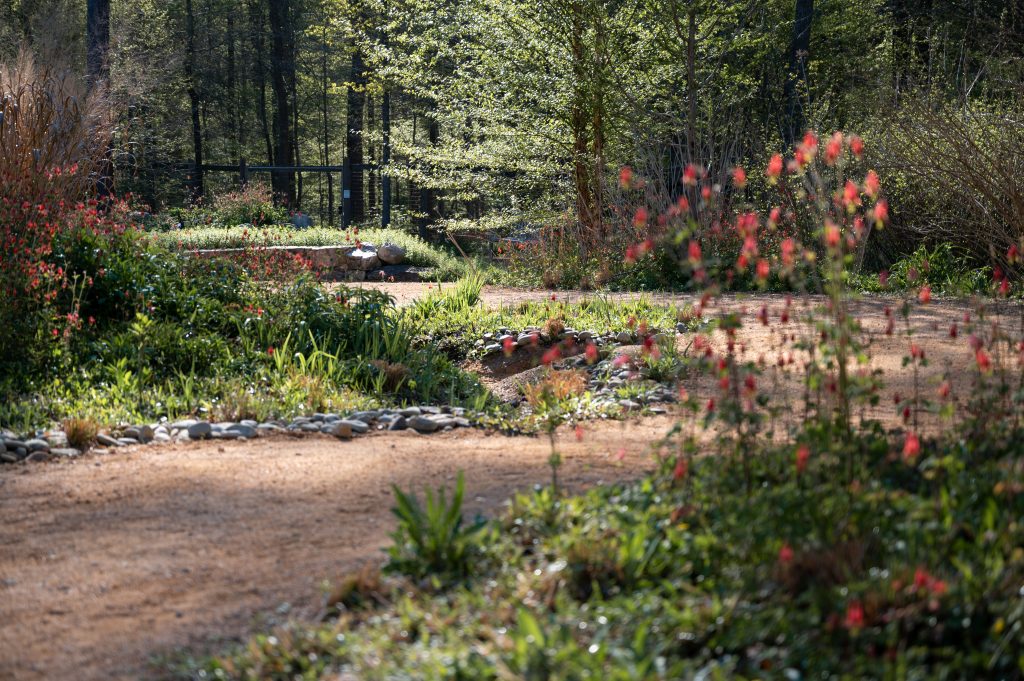 Scene from the North Carolina Botanical Gardens in Chapel Hill, NC on April 4, 2023.