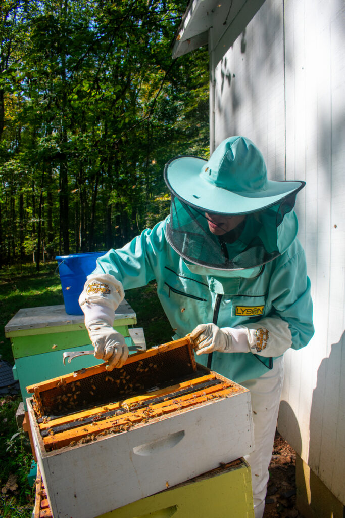 a woman inspecting the frame of a bee hive.
