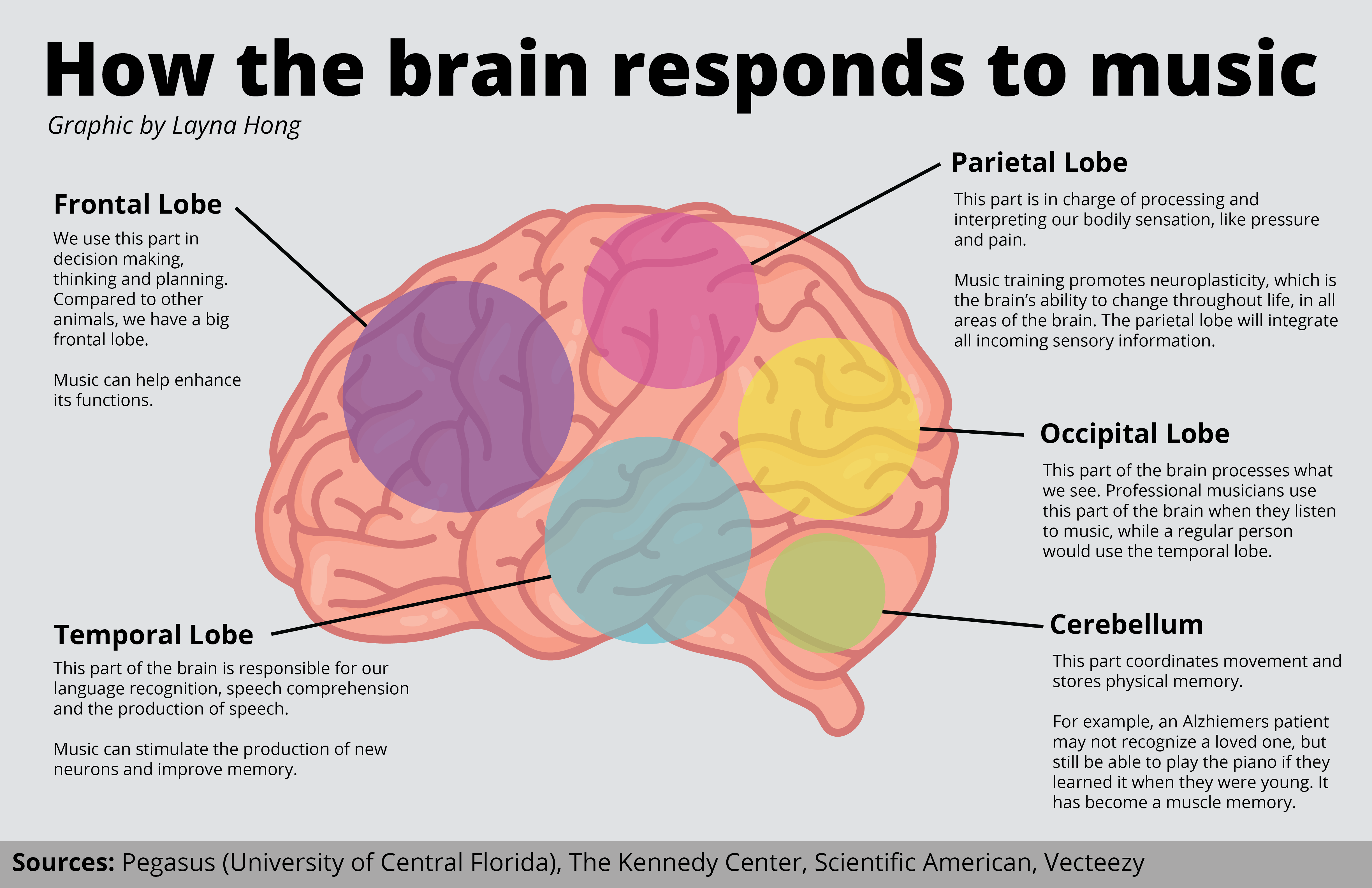 Learning Through Music: The Support of Brain Research