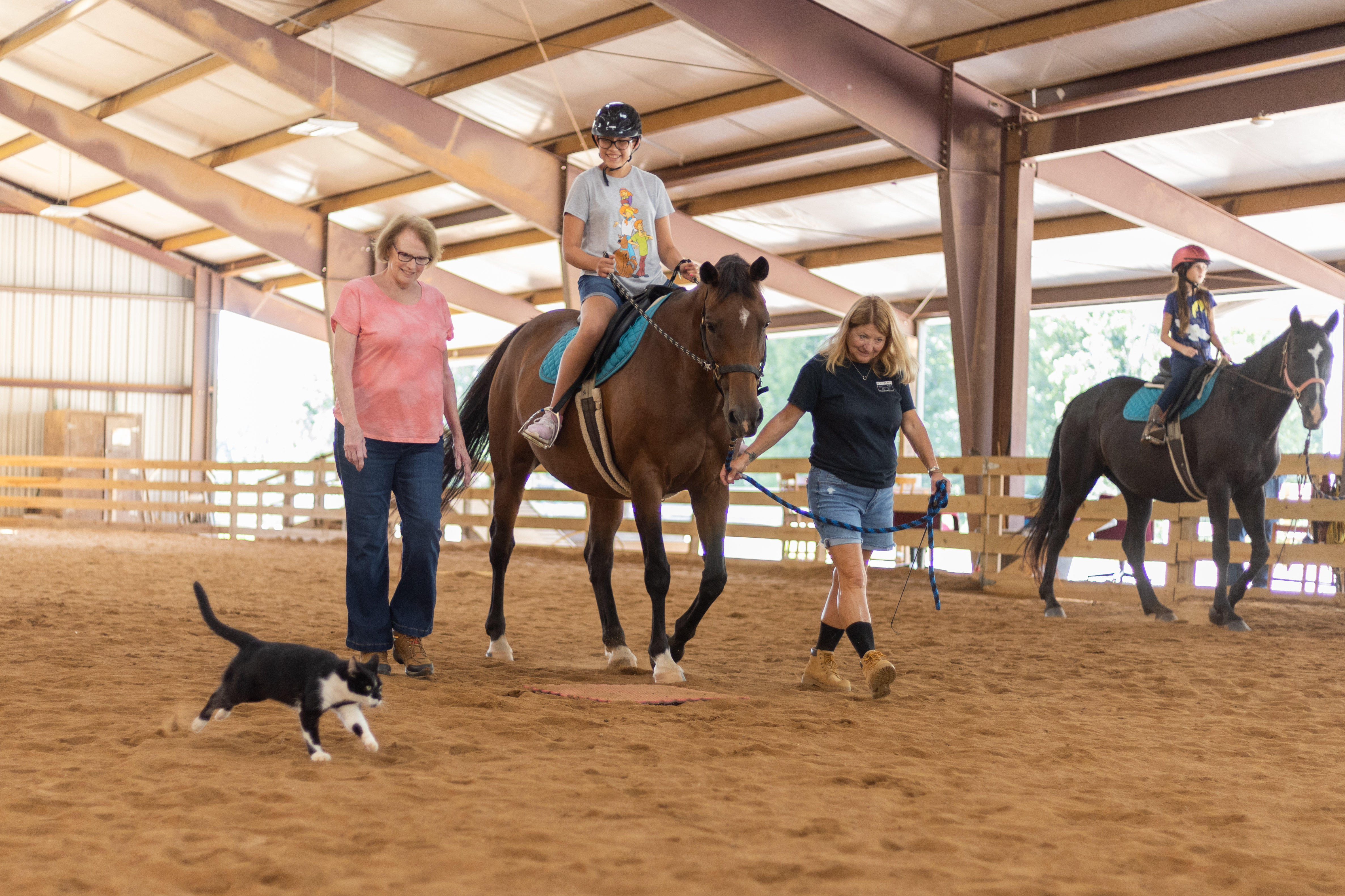 The Bond Between a Rider and their Horse: Stories from the Community