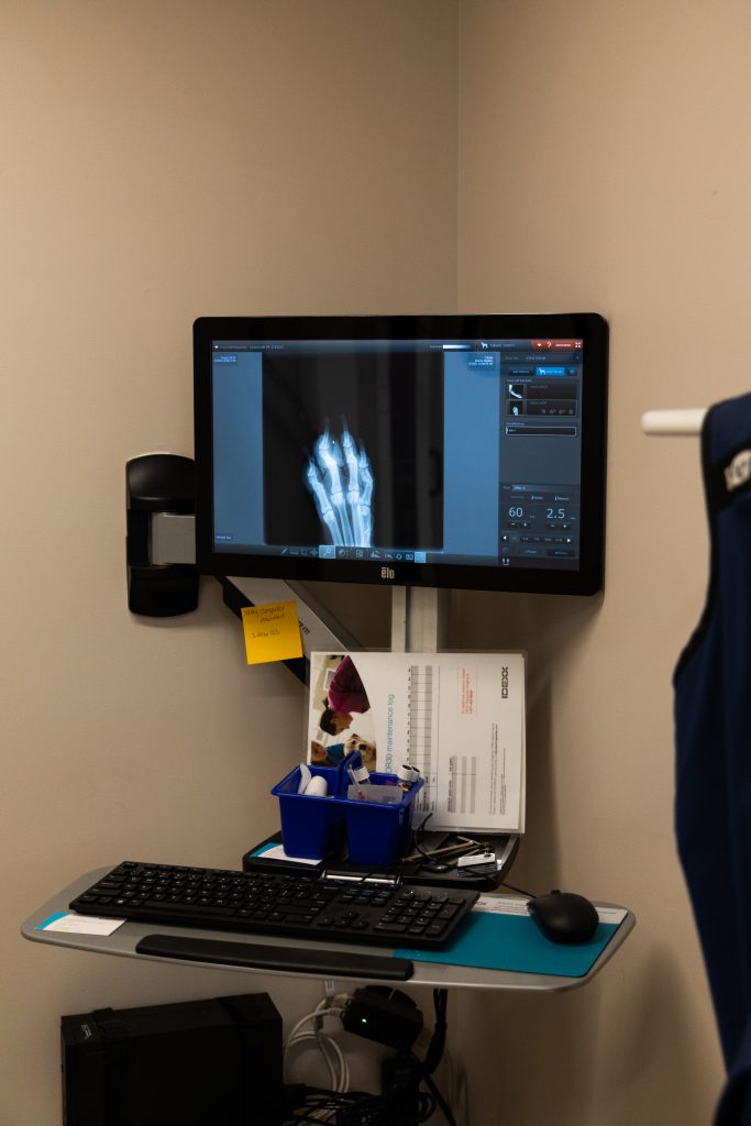 Inside the treatment room is a digital radiography suite to take x-rays. Up on the computer is an x-ray of Tallulah's paw which was used to check if her toe was broken -- it was not. 
