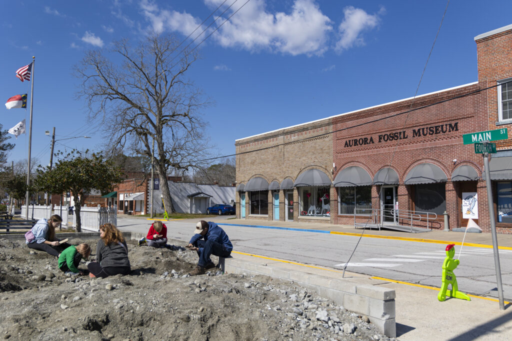 Small but mighty: Aurora, North Carolina, is the fossil capital of the ...