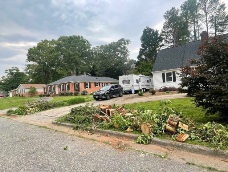 Two houses on a street with chopped down trees in front.
